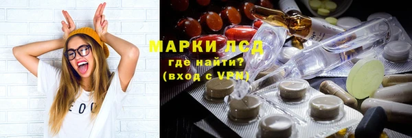 гидропоника Алзамай